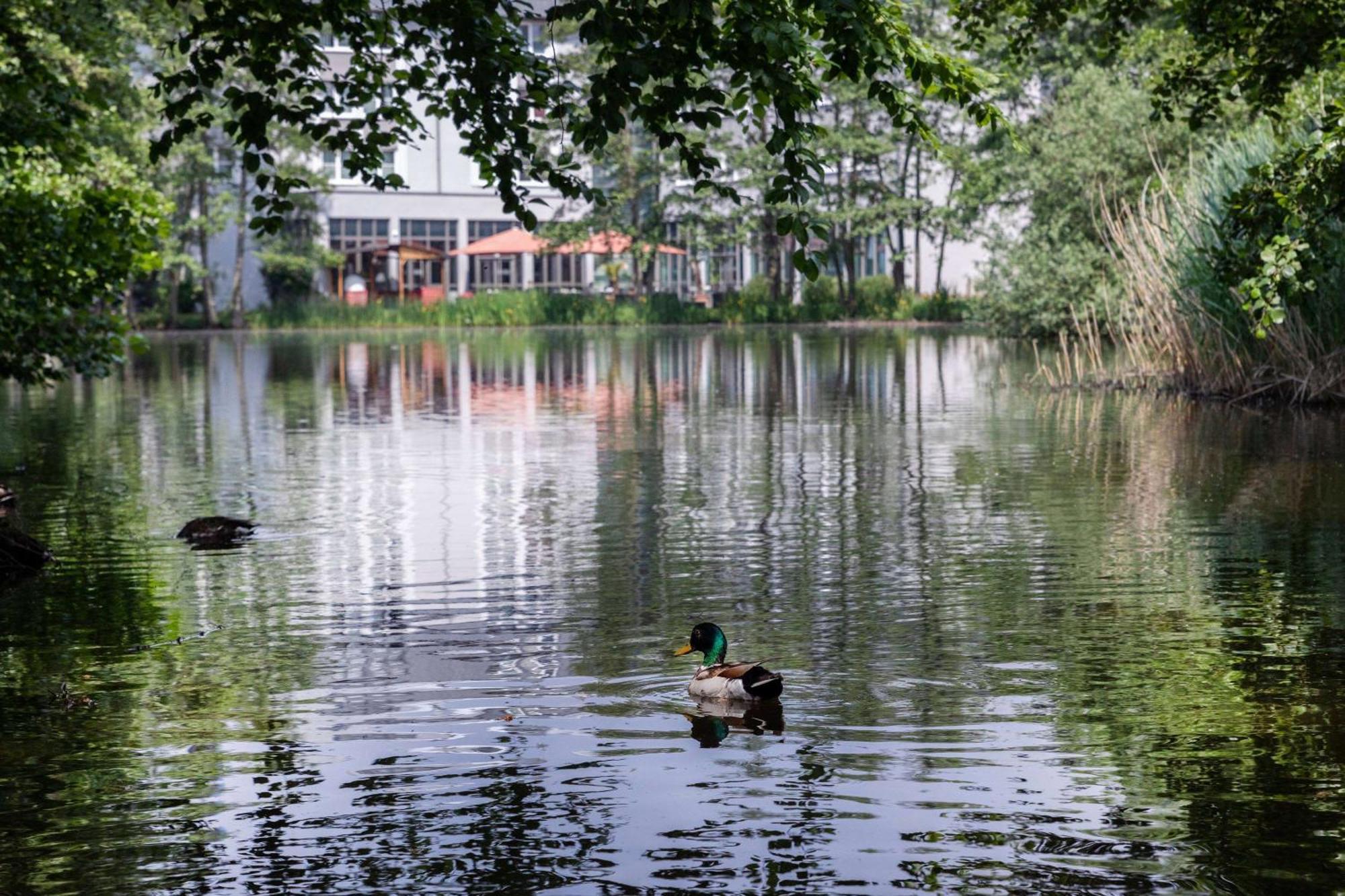 B&B Hotel Krefeld-Sued Экстерьер фото